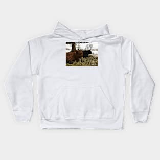 Scottish Highland Cattle Cow and Bull 2286 Kids Hoodie